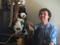 part 2 of the puppet master, a mockumentary about the members of the 