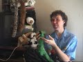part 2 of the puppet master, a mockumentary about the members of the 