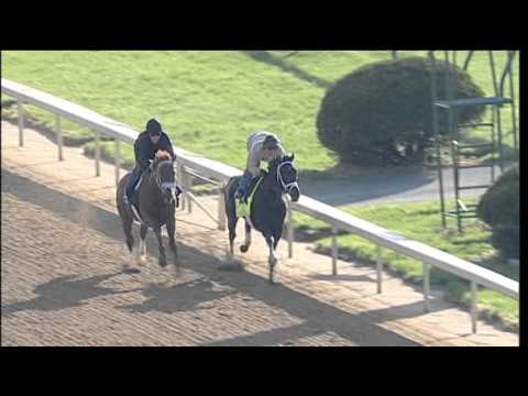Revolutionary workout Churchill Downs_4.21
