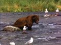 este video me lo encontre en la red...