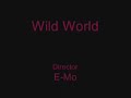 wild world