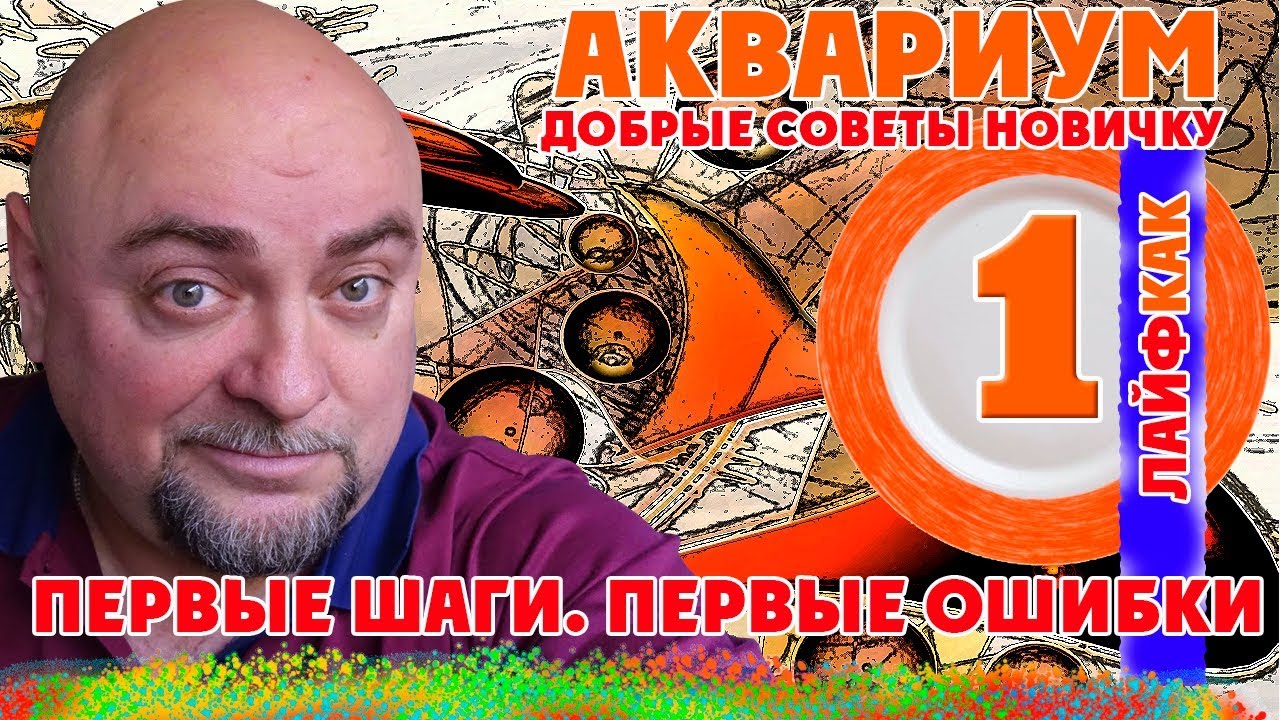 Аквариум. Как выбирать аквариум? Добрые советы новичку.