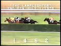 John Henry - Lamplighter - Monmouth Park - 1978
