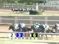 videos de CHURCHILL DOWNS, 2008-11-29, Race 8