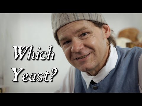 how to collect yeast for bread