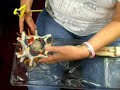 Multi-polar Nerve Multi-polar Nerve