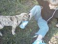 ataque mortal ataque mortal
