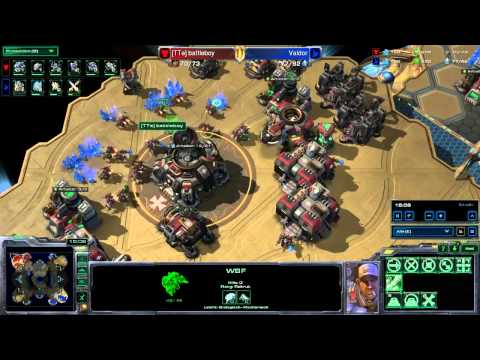 starcraft 2 swarm