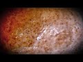 Planet Breakfast