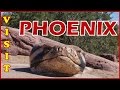 cheap fun things to do in phoenix az cheap fun things to do in phoenix az