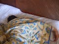 me getting a nice wake up call
