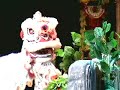 UM Lion Dance Night - Seri Ledang Tangkak Team B