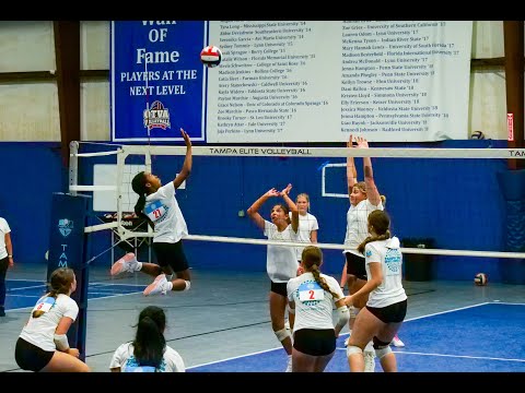 TBSC, Partners Host 14th Annual Tampa Bay Volleyball Showcase thumbnail