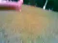 penalti sitio carlão