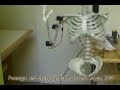 Robotic Arm Design