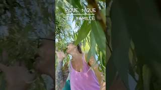 VLOG PIQUE-NIQUE EN FAMILLE (PARTIE 2)