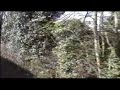 Never ending noise. 73096 steam marathon on the MHR. Pt 1