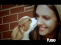 Boys Like Girls- Hero/Heroine (Version 2)