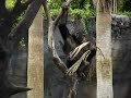 Busch Gardens - part one Busch Gardens - part one
