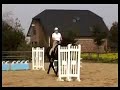 Donnerhall Enkel gekörter Hengst Donnerhall Enkel gekörter Hengst
