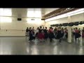 Solea class