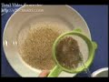 Farinha de Limão - parte II