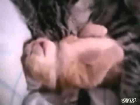 مشاهدة افلام سكس عربى
