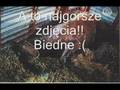 biedne koniki 2 :(