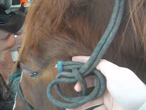 how to fasten rope halter