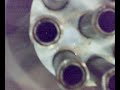 ravi-s-stanley-meyer-replication-water-fuel-cell-001.html