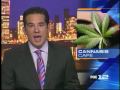 Oregon NORML Cannabis Cafe Opens In Portland - KPTV