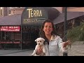Wendy and Lucky - Dear Lucky- Traveling to San Diego with Pets