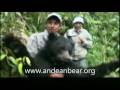 The Andean bear project&acute;s volunteers talking about their project&acute;s experiences