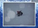 Fjeld Family Snow Day