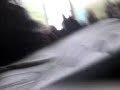 ultimo dia de clases   vacaciones de invierno 1