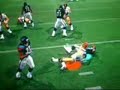 Troy Polamalu