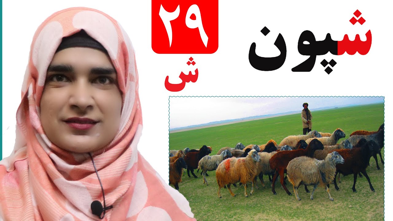 Lesson 29 _ Grade 1 _ Pashto book / لوست ۲۹ _ د پښتو کتاب _ لومړی ټولګی