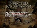 Infected Mushroom - Sa'eed (lyrics)