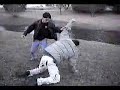 The Best of the Fight Scenes The Best of the Fight Scenes