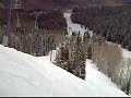 A los bumps (wamps) en Aspen