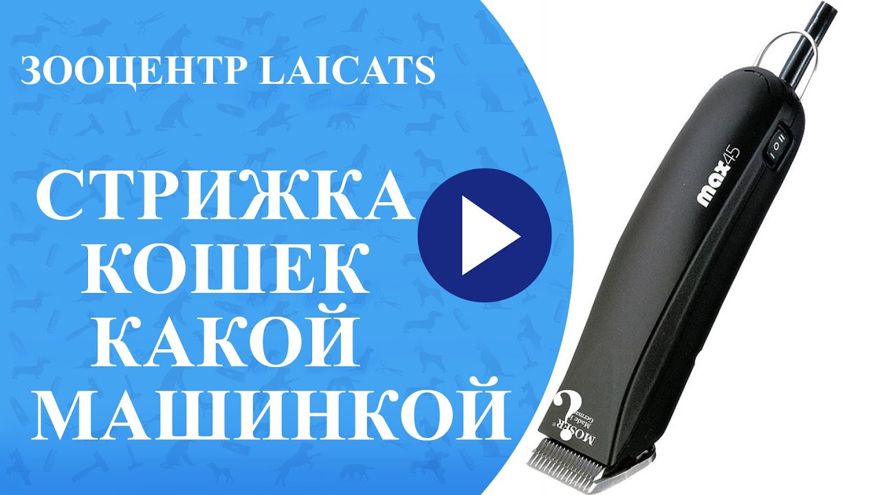 Стрижка кошек какую машинку выбрать?