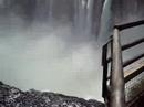 birds in the devil�s throat