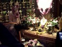 Gurudeva Mahasamadhi Abhishekam, 2008 Gurudeva Mahasamadhi Abhishekam, 2008