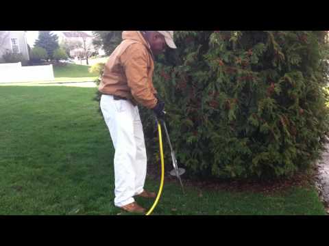how to deep root fertilize a tree