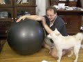 Tsunami vs Ball - Round 1