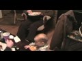 Niko Vandervort and Grandpa Richard