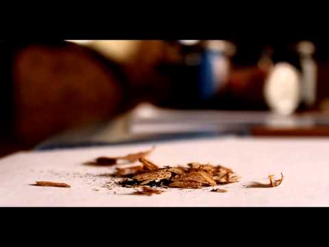 TCS - Regia: Giuseppe Biscardi Musica: Gianfranco Sposato & Liberale