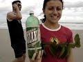 Gu� Samambaia e Homem Beringela Polaco numa ilha deserta