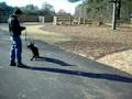 Biggy 5mth .AVI