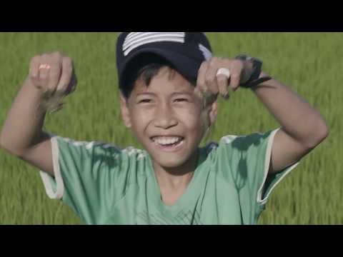 베트남 친환경 사업